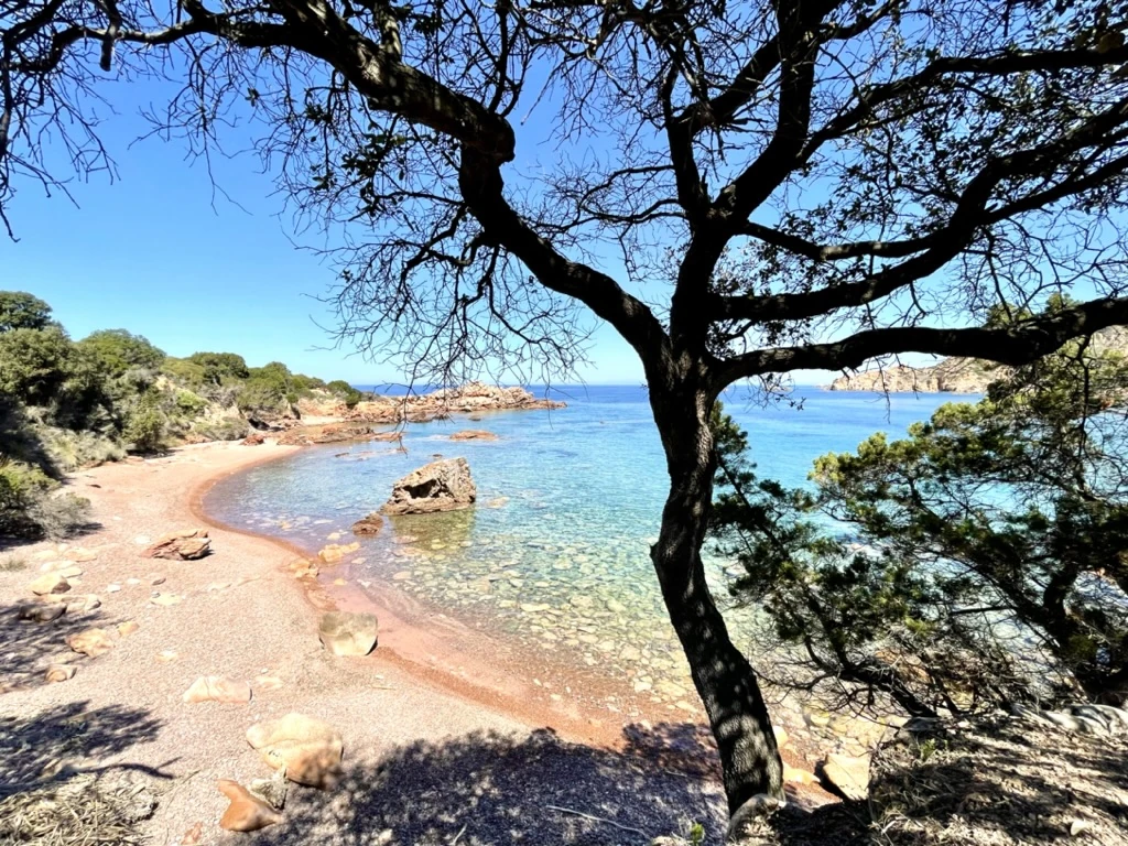 Porto Leccio: spiaggia di ciottoli e acqua trasparente La spiaggia di ciottoli di Porto Leccio e l’acqua trasparente, incorniciate dai rami di un albero